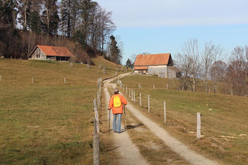 Hotel Hulfteggpass Mühlrüti Exterior foto